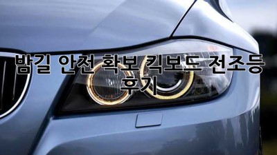 밤길 안전 확보! 킥보드 전조등 후기