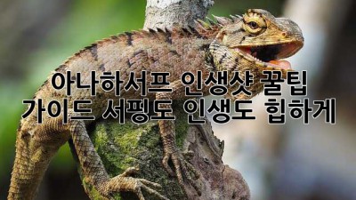 🌊 아나하서프 인생샷📸 꿀팁 가이드! 서핑도 인생도 힙하게! 😎