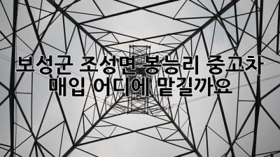 보성군 조성면 봉능리 중고차 매입, 어디에 맡길까요?